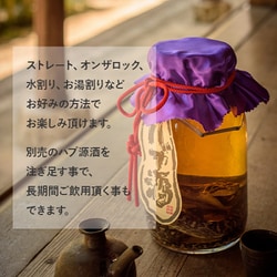 ヨドバシ.com - 南都酒造所 ハブ入り ハブ酒 35度 1800ml [リキュール
