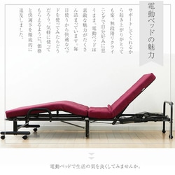 ヨドバシ.com - 谷村実業 電動メッシュキルトベッド ブラウン TAN