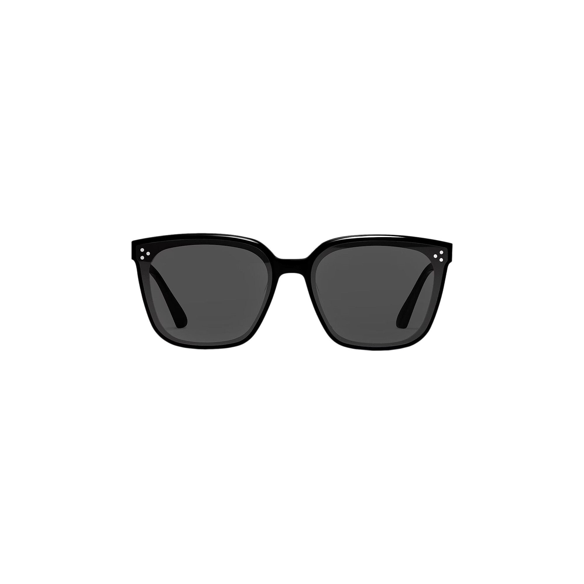 Buy Gentle Monster Palette 01 Small Sunglasses 'Black' - PALETTE S
