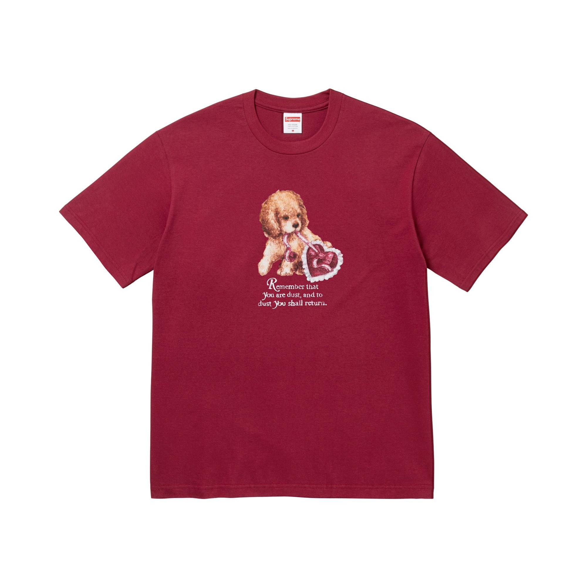 Buy Supreme Dust Tee 'Cardinal' - FW25T72 CARDINAL | GOAT