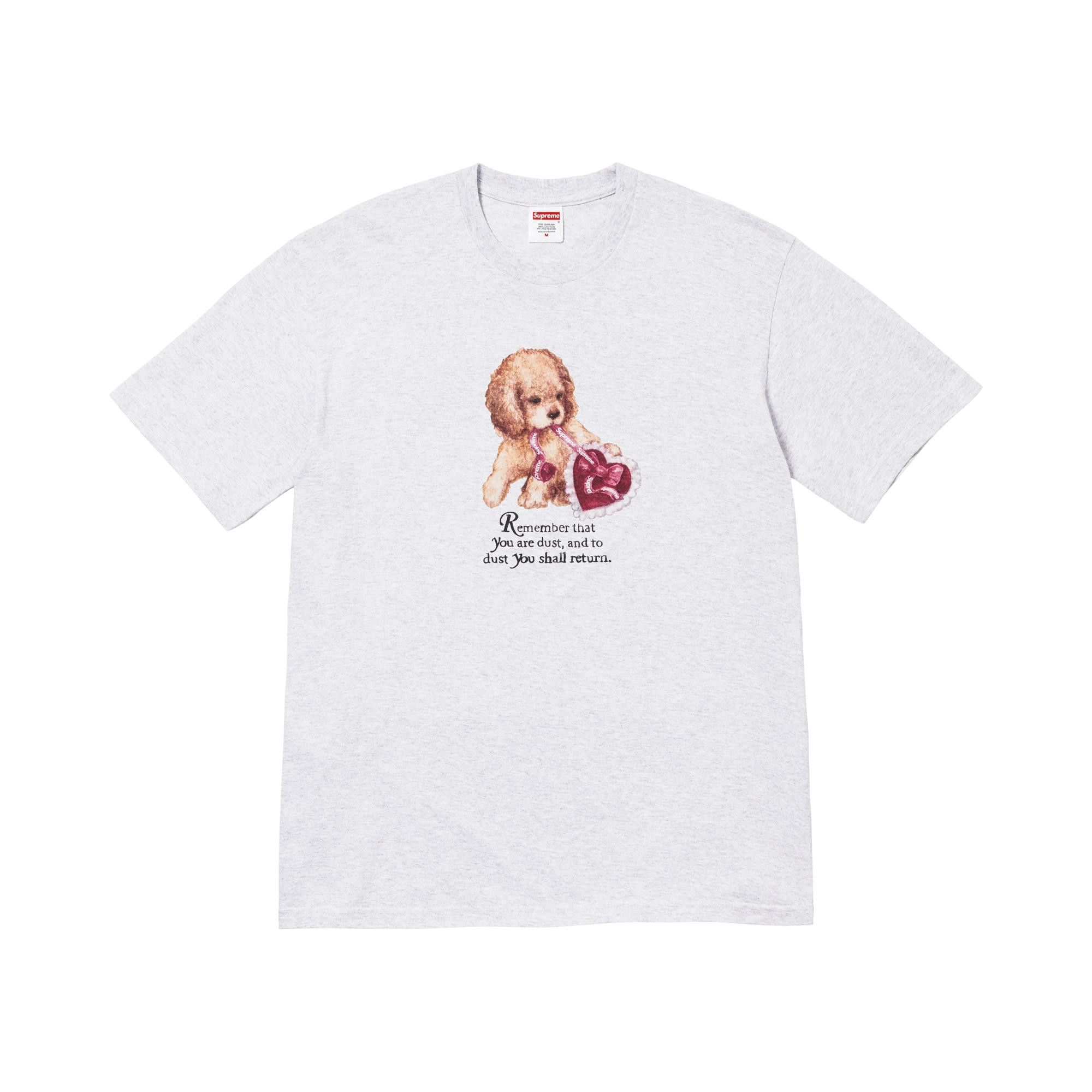 Buy Supreme Dust Tee 'Ash Grey' - FW25T72 ASH GREY | GOAT