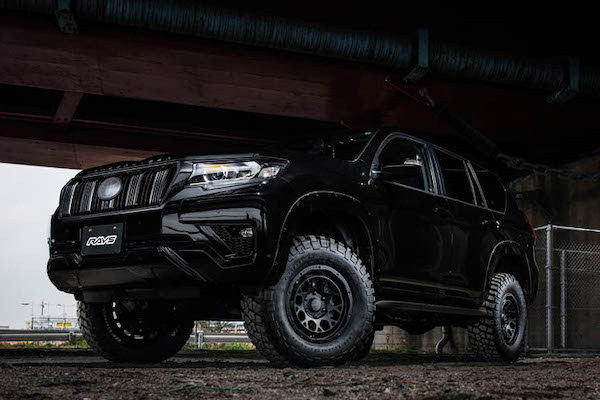 RAYS - Team Daytona M9 Black Edition - Nengun Performance