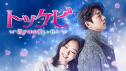 トッケビ~君がくれた愛しい日々~(字幕) (韓国・中国ドラマ) | 無料動画