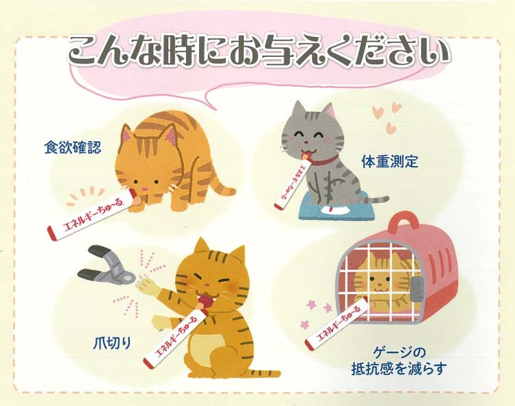 8セット】【動物病院専用】【CIAO(チャオ) エネルギーちゅ～る pH