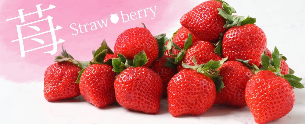 Strawberry（苺） | 青果店 サン・フルーツ