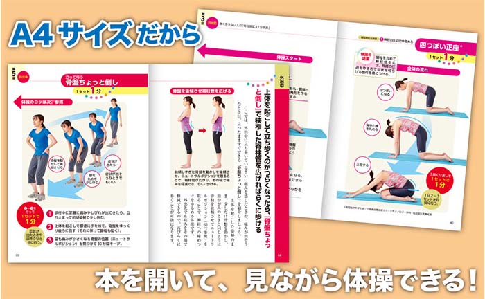 脊柱・腰痛管理専門書3冊セット 脊柱・腰痛管理専門書3冊セット 脊柱