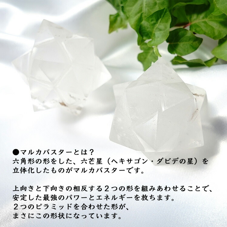 po230526-2b.jpg