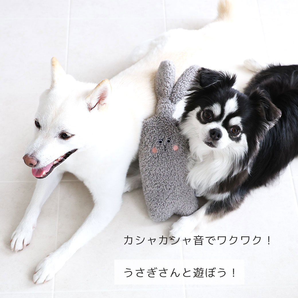 卸売】IDOG&ICAT iDog fleur ラビット カシャカシャ入り アイドッグ
