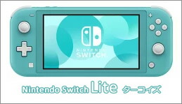 t*n様 Nintendo Switch Lite ザシアン・ザマゼンタ エディ Nintendo