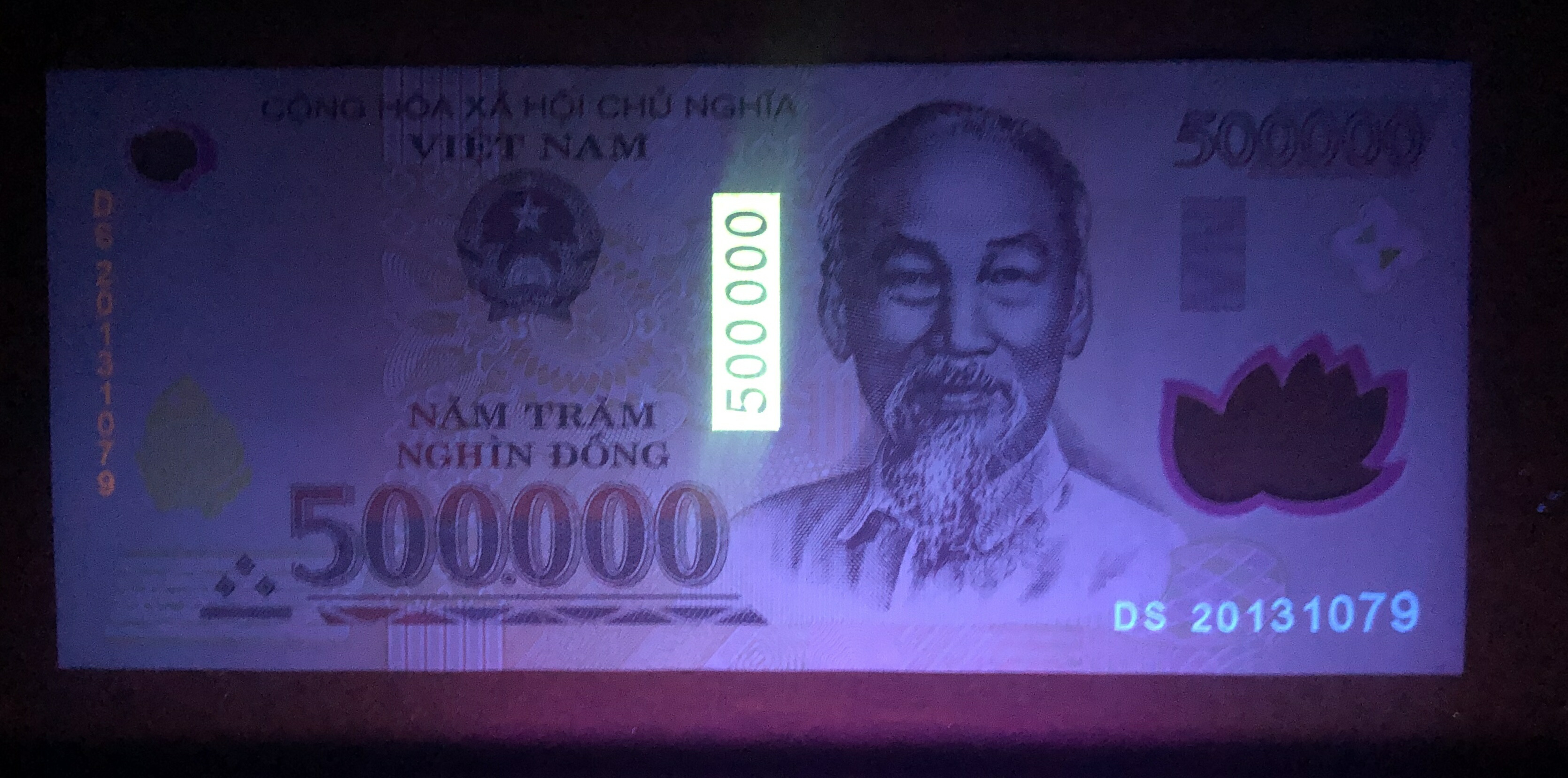 楽天市場】ベトナム紙幣 【証明書付】 50万ドン ベトナム ドン