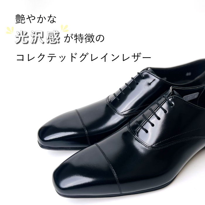 楽天市場】公式ショップ限定 【期間限定20％OFF】 REGAL 236S