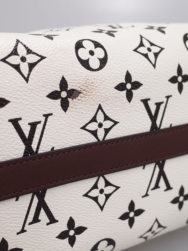 LOUIS VUITTON】ルイヴィトン『モノグラム カラー スピーディ アマゾン
