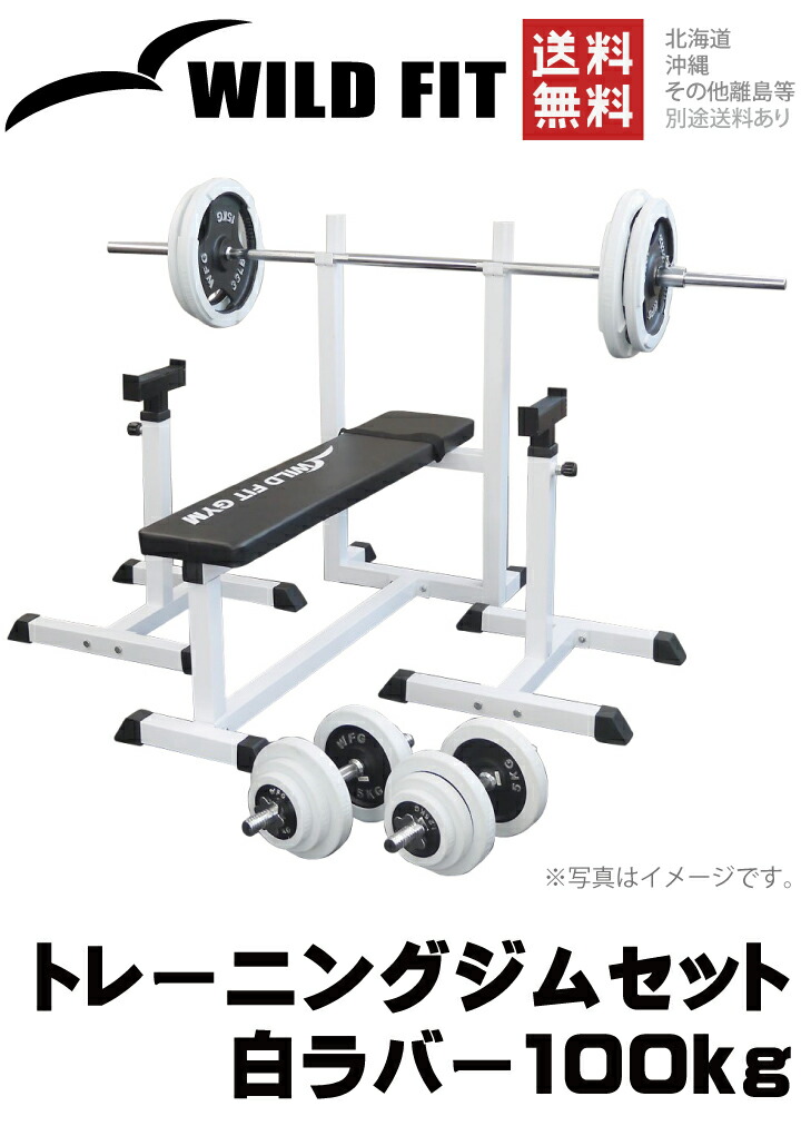 楽天市場】WILD FIT (ワイルドフィット) トレーニングジムセット 白