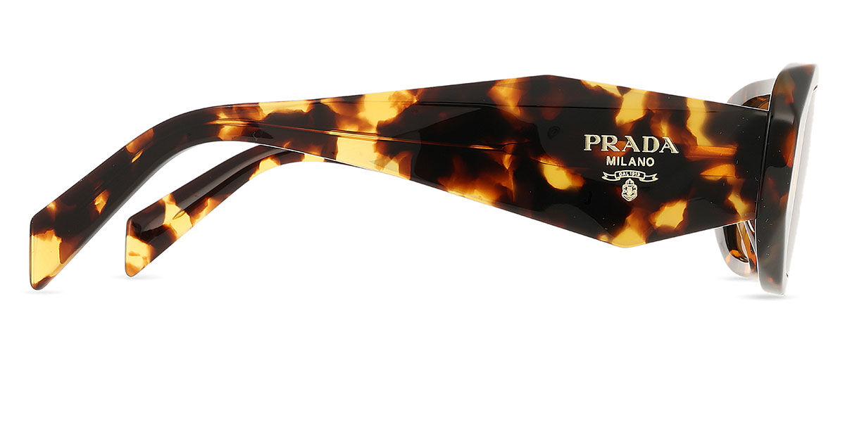 Prada PR 17WSF Asian Fit VAU2Z1 スクエア Honey Tortoise サングラス