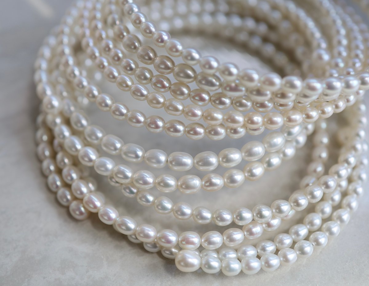 dip] full pearl choker（white） | ripsalis