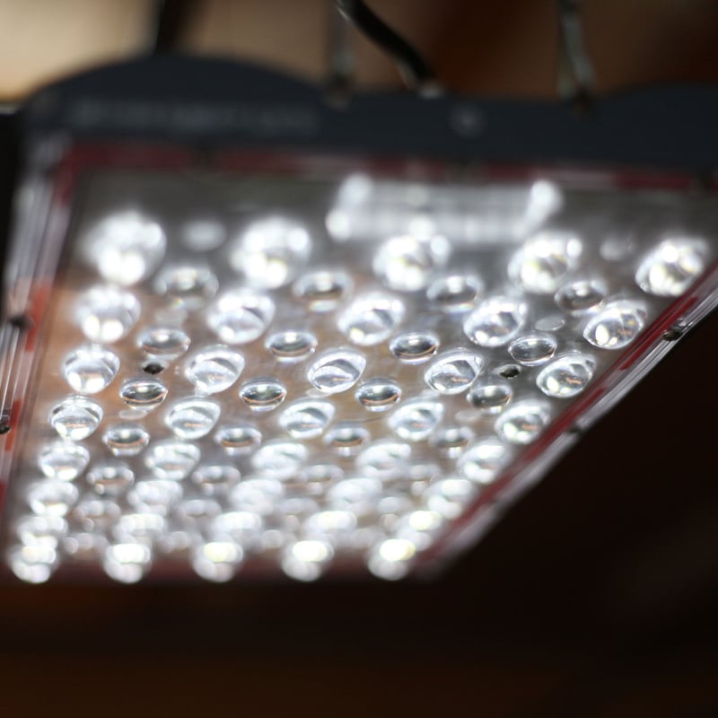 ◇ Helios Green LED PRO Booster 3枚一式セット (303)／ 広