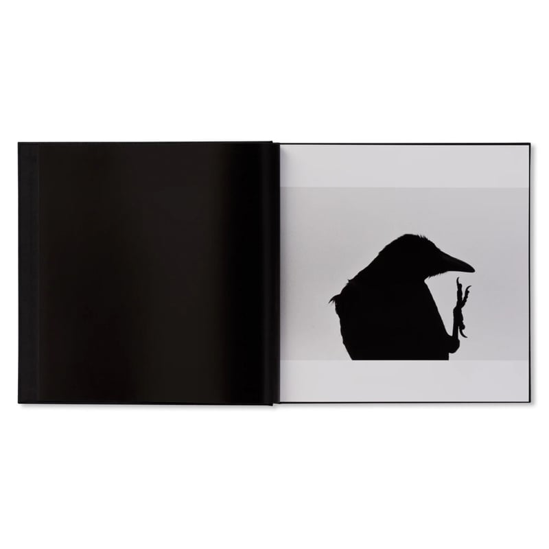 鴉（RAVENS） / 深瀬昌久 | ホホホ座浄土寺店