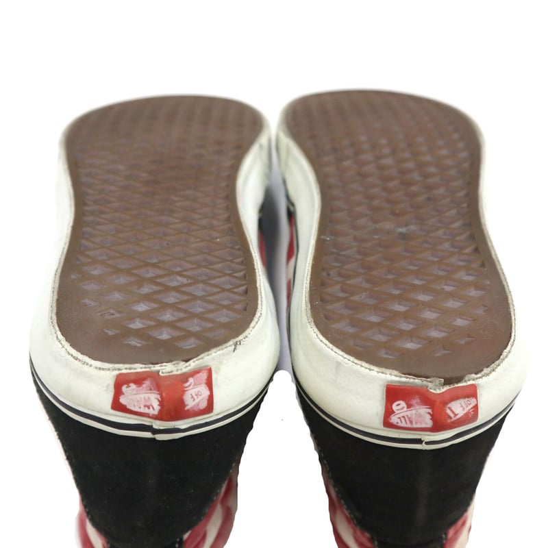VANS×Christian Hosoi 1st 