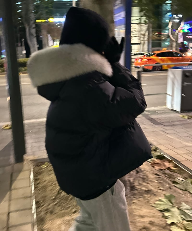 hooded down jacket(black) | ok.soon