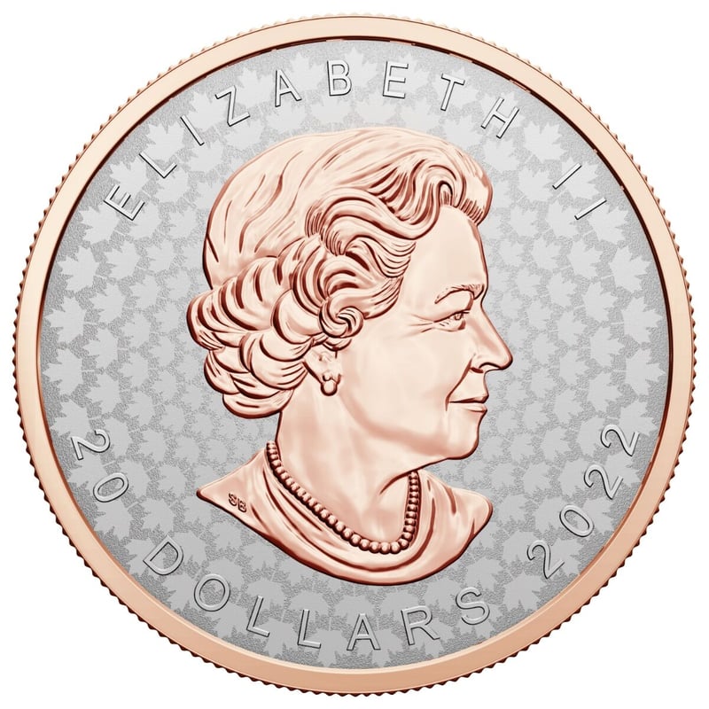 カナダ 恐竜 銀貨 20ドル 未使用 記念硬貨 ミント レア 2022年 カナダ