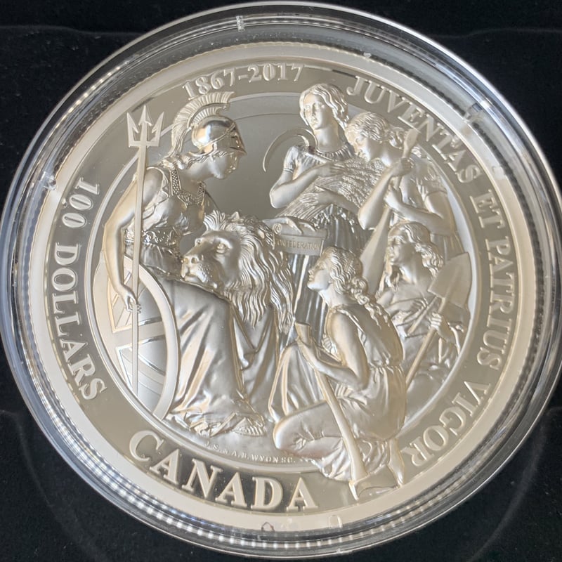100ドル銀貨版 カナダのウナとライオン 10オンス銀貨 シルバーコイン
