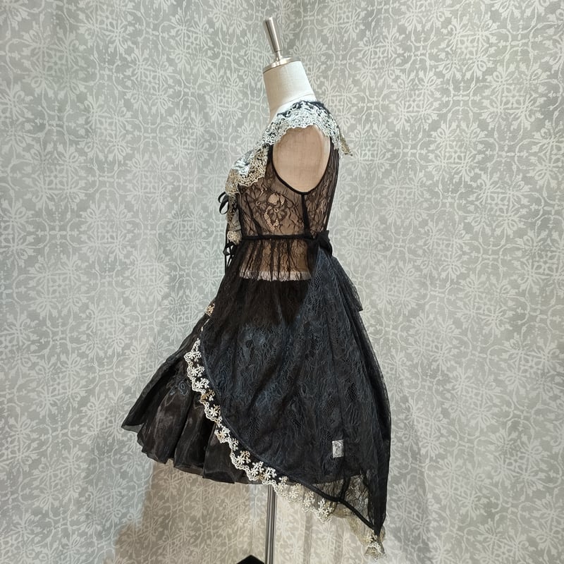 ATELIER PIERROT】【Vallée lys】ヴァレリス フィッシュテールレースジ