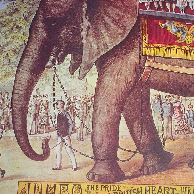 ビンテージ70's○Ringling Bros and Barnum & Bailey ゾウ