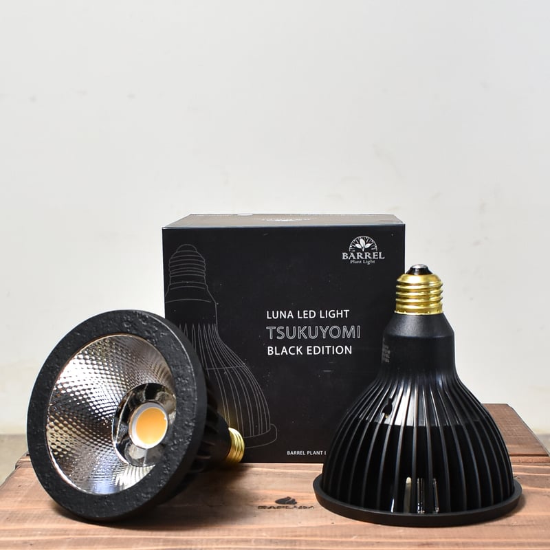 2個以上で送料無料・即納 】NEO TSUKUYOMI LED 20W BLACK EDIT