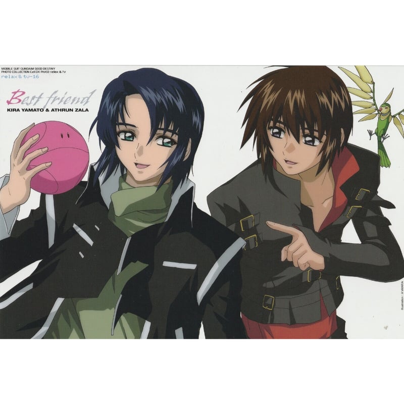 機動戦士ガンダムSEED DESTINY』 フォトコレクション Cell DX PHA
