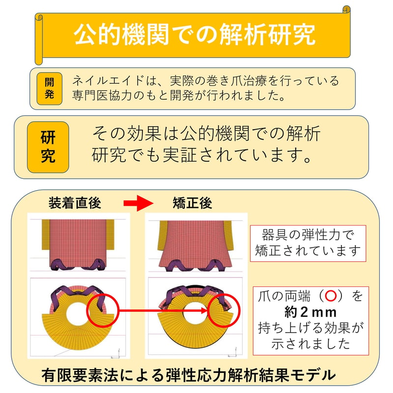 2個目購入の方限定※他モール初回購入可）ピンセットなし・説明書なし