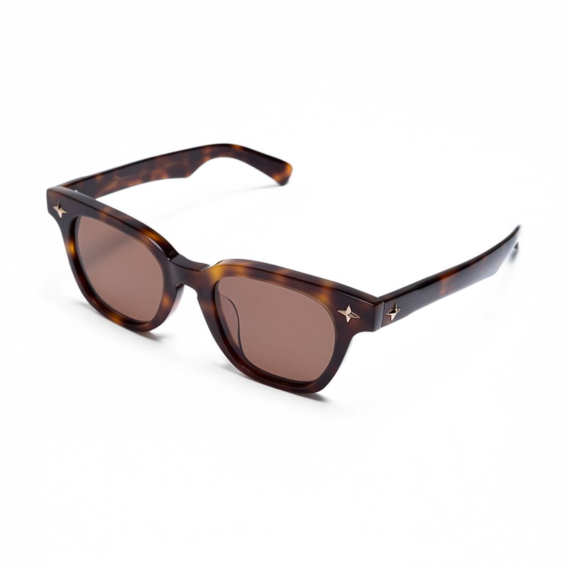 TSY ORIGINAL SAFTY GLASSES 001 // BROWN DEMI |