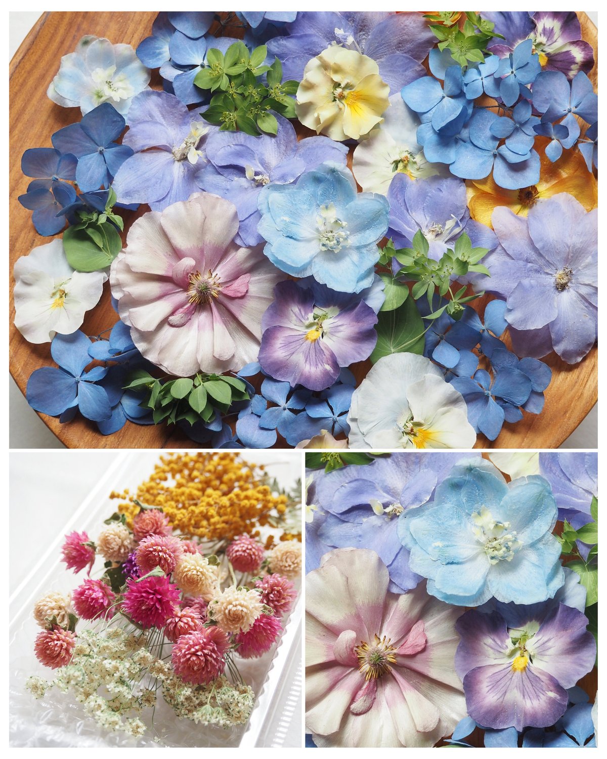 ドライフラワーの花材セット | zelkova's aroma garden