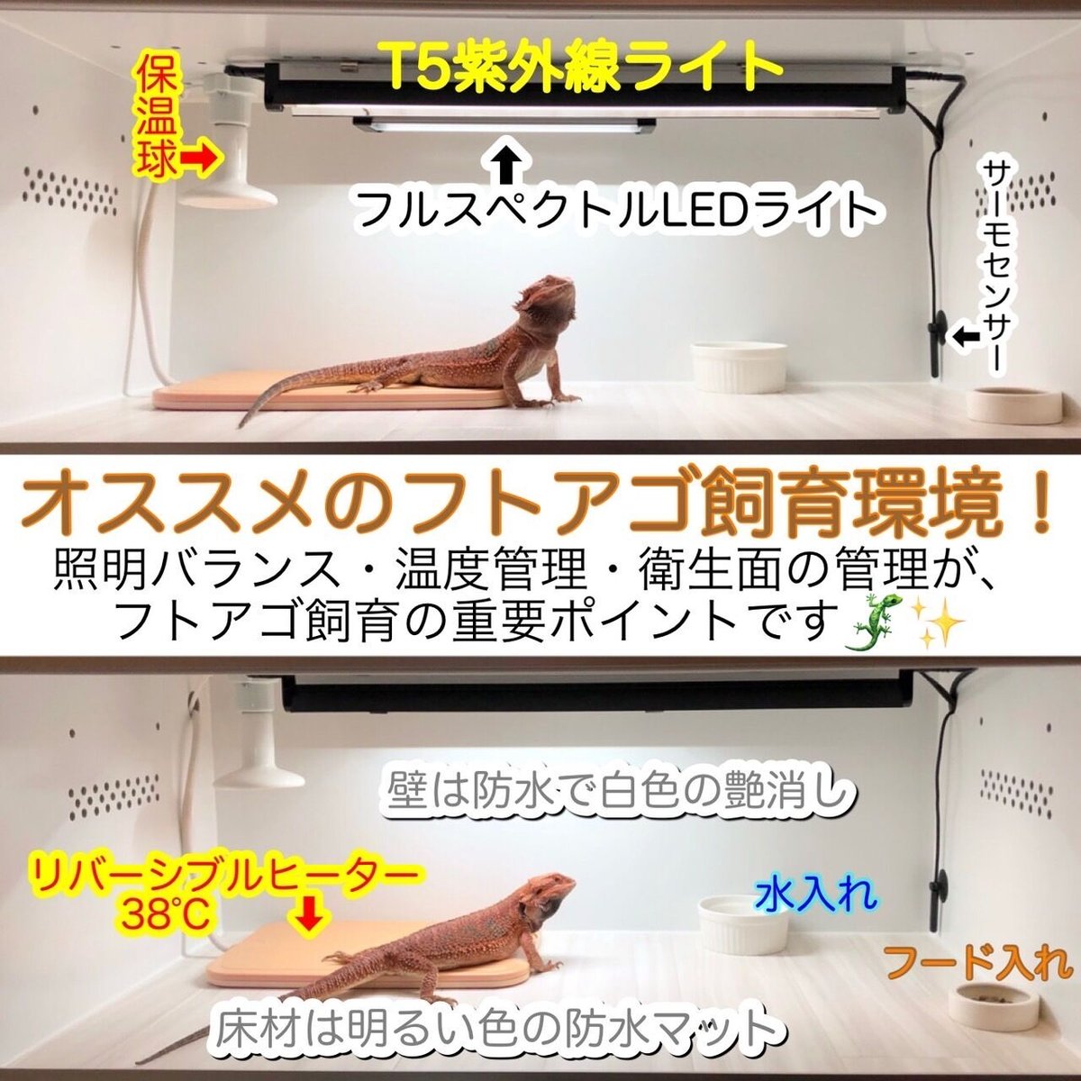 ◎30ケージ 照明器具セット付きセット | ポポのケージ