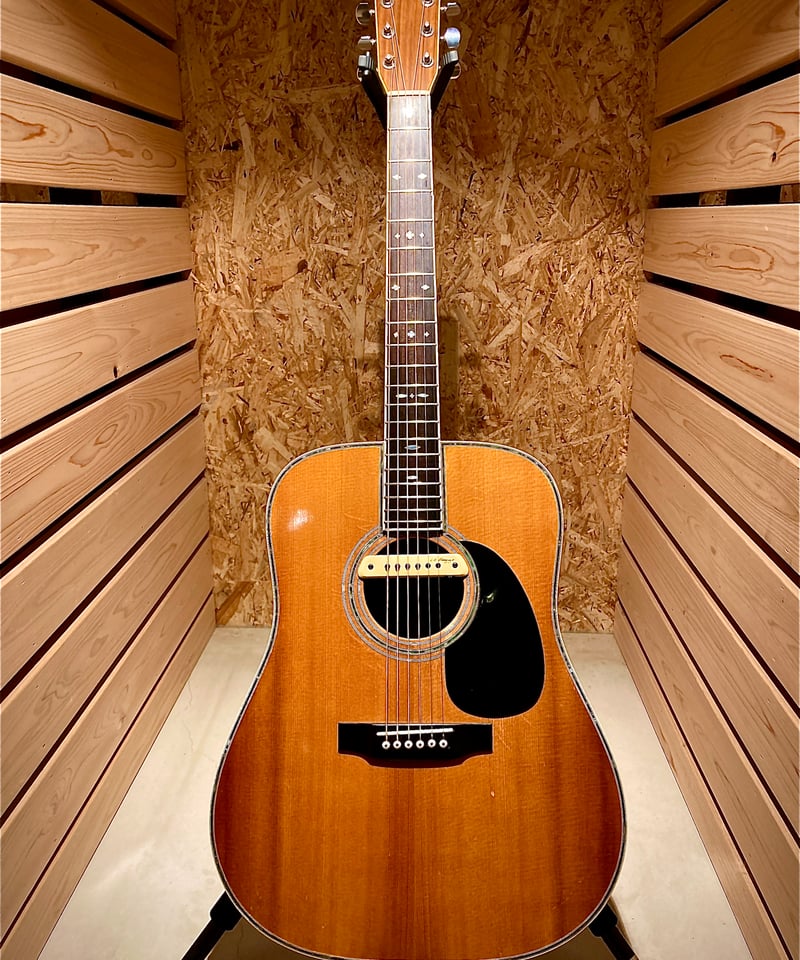 ThreeS W-500 | Guitarshop SOUNDNINE