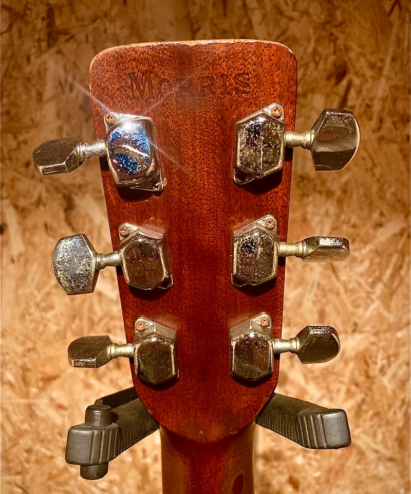 Morris F-20 | Guitarshop SOUNDNINE