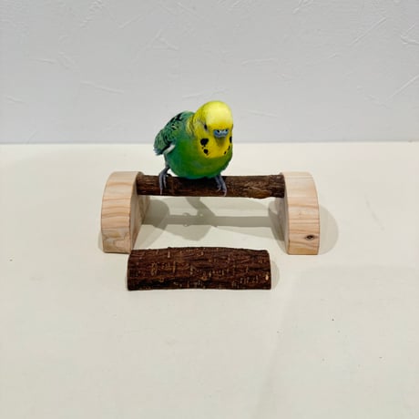 鳥用品 止まり木 カクタス スケルトン パーチ 特大No.217 鳥用品