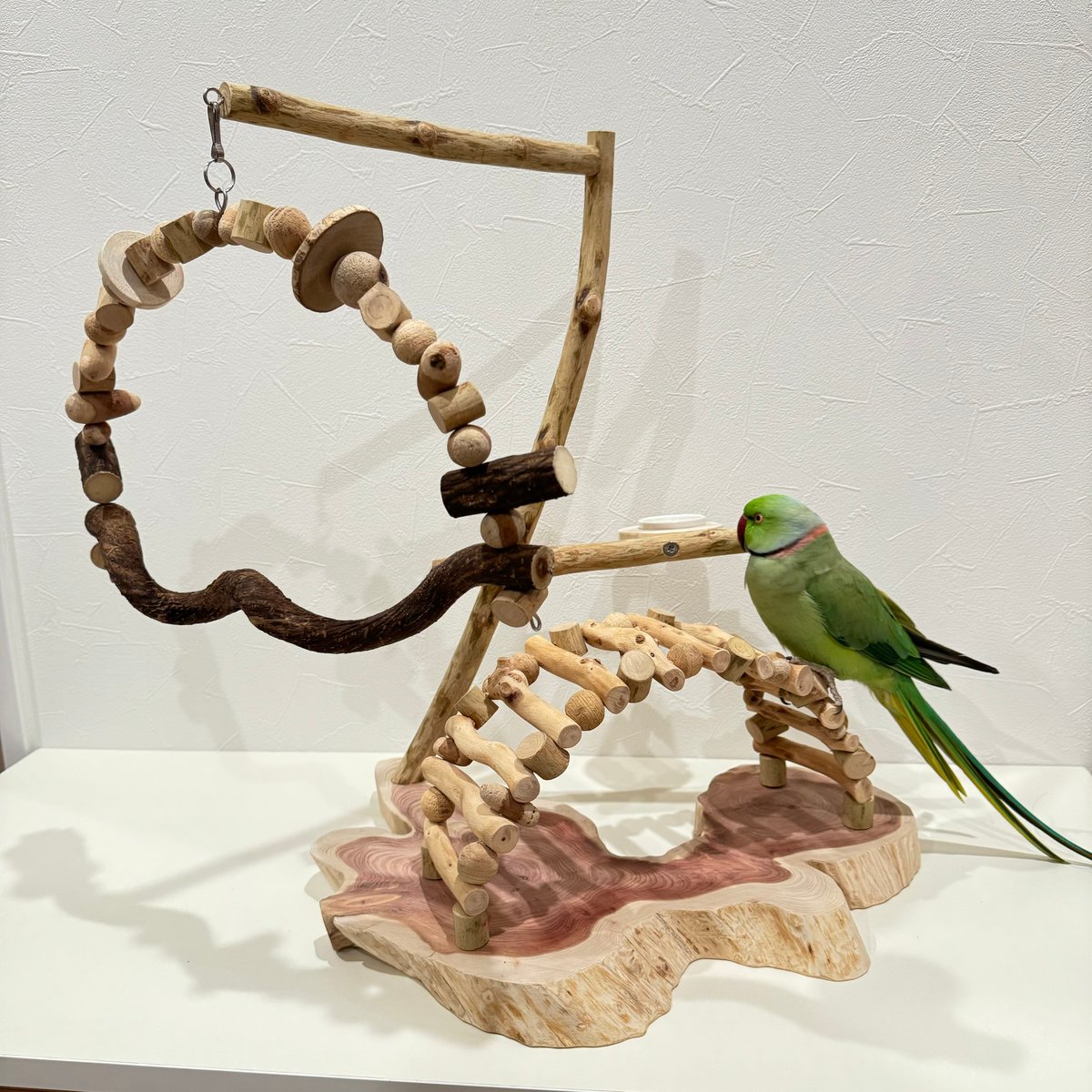 螺旋階段とトンネルアーチのバードアスレチック【インコのおもちゃ