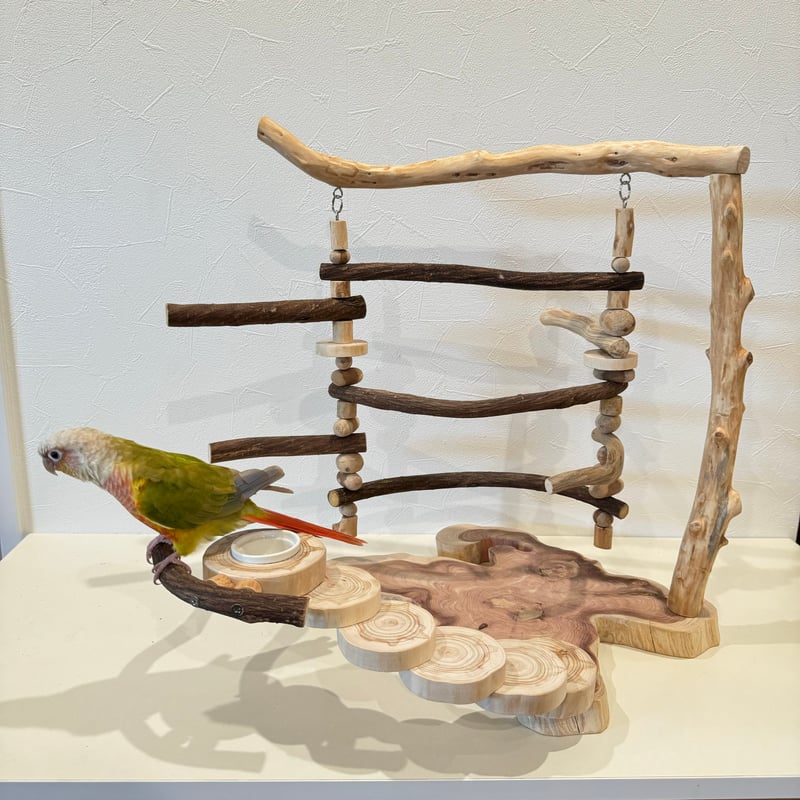 ブランコと螺旋階段のバードアスレチック【インコのおもちゃ・自然木の