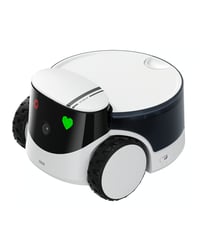 Moflin【モフリン】 ゴールド | Robot Planet Online store
