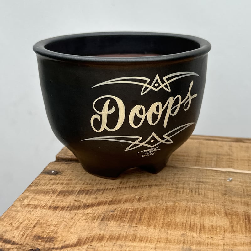 伝市鉢×mrg pot3号 | doopsplants