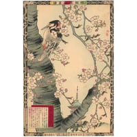芳年「東錦浮世稿談 蜀順平候趙雲」 -趙雲子龍- | 古美術もりみや