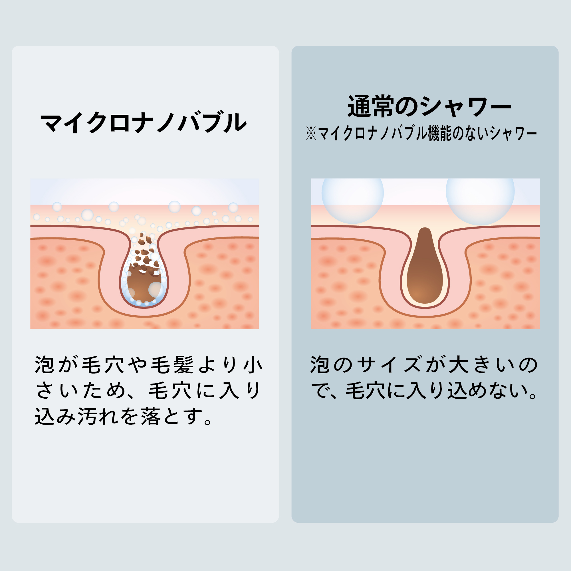 BathSpring バスルーム浄水器 マイクロナノバブル シャワー フィルター