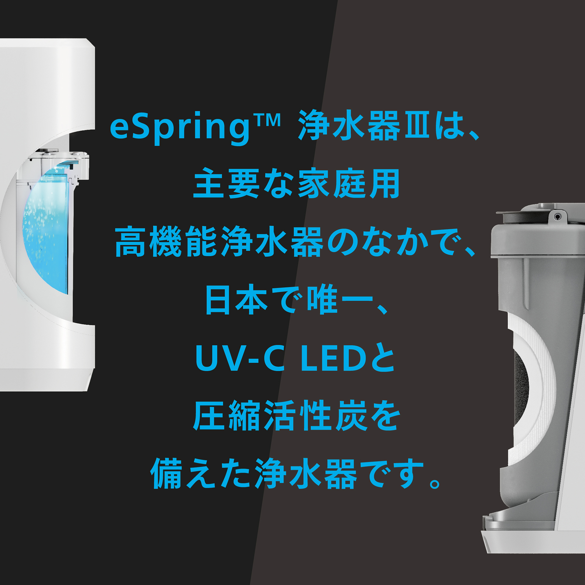 浄水器Ⅲ 据置型 5年保証付き 交換用フィルター定期配送付き) ：Amway