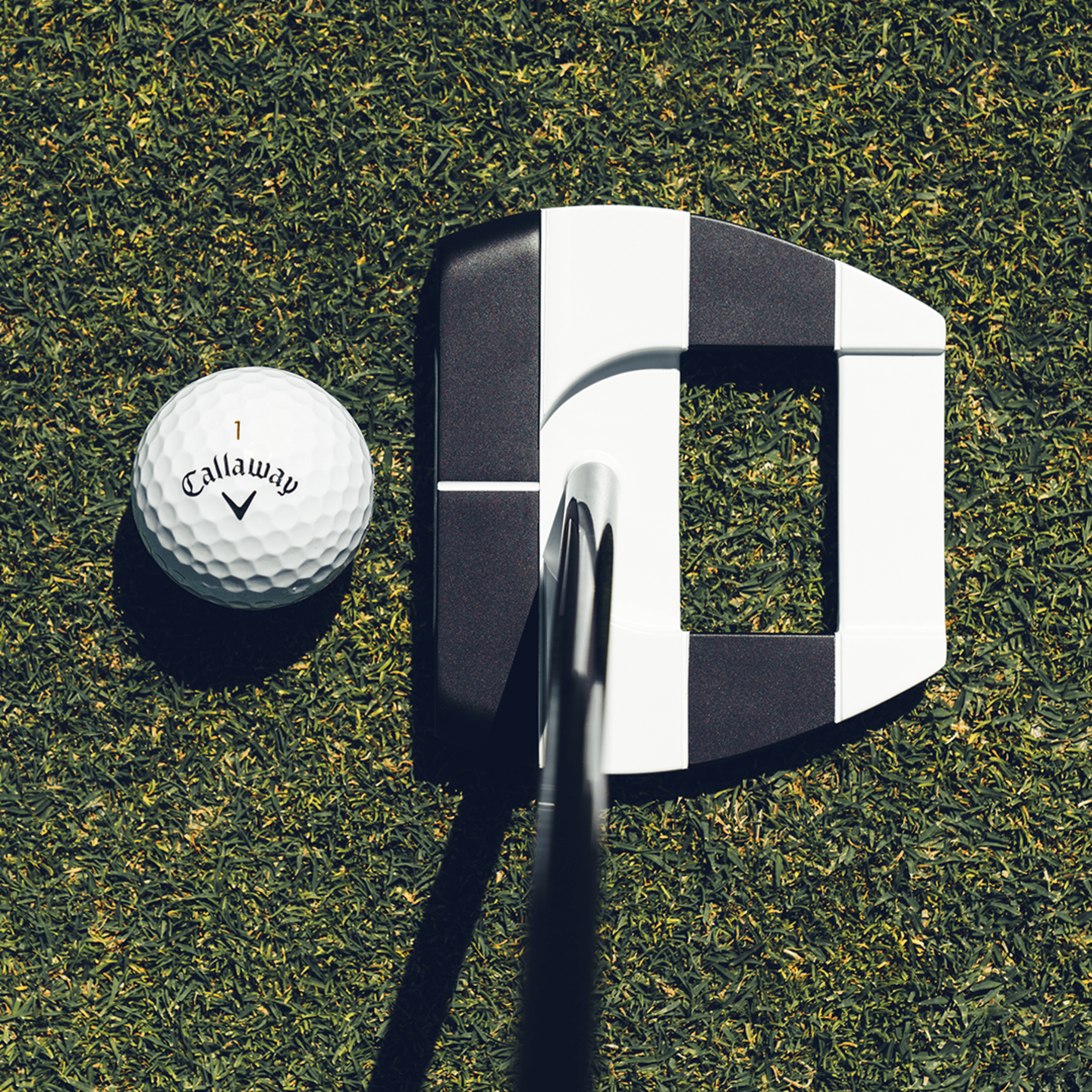 Ai-DUAL Square 2 Square Jailbird Putter