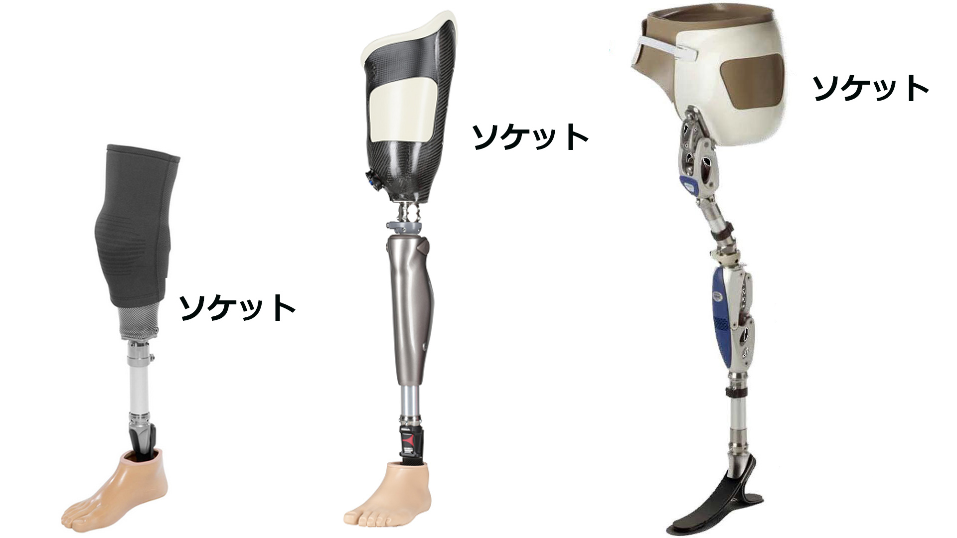 義足の専門用語