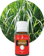 ピューリフィケーション 15ml | ヤングリビング精油 | Young Living