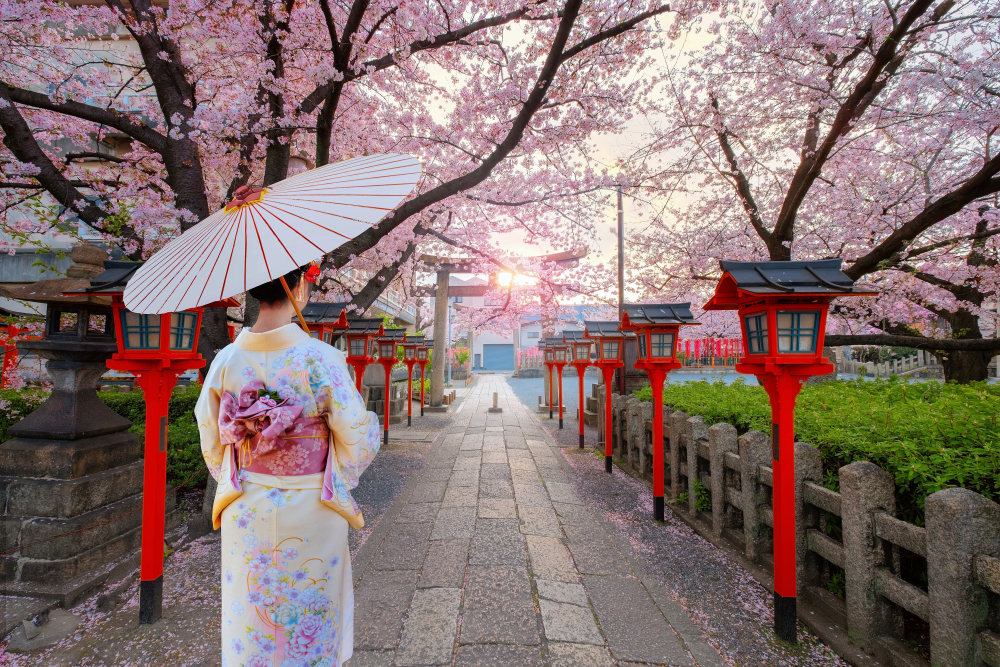 開花宣言-Cherry blossoms are blooming- Amazon.co.jp: 開花宣言