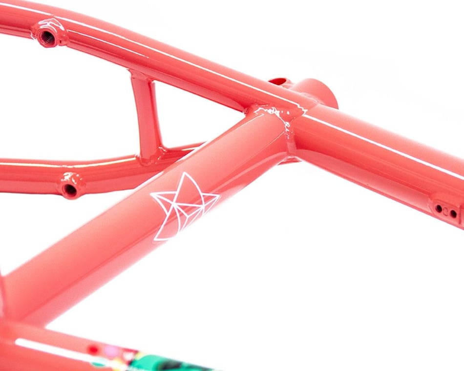 Colony Sweet Tooth Frame (Alex Hiam) (Salmon) - Dan's Comp