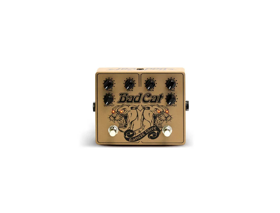 Bad Cat Siamese Drive - What To Know & Where To Buy | Equipboard