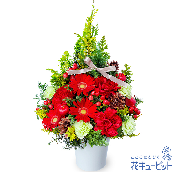クリスマス特集2026｜花・花束・アレンジメント・プリザーブドフラワー
